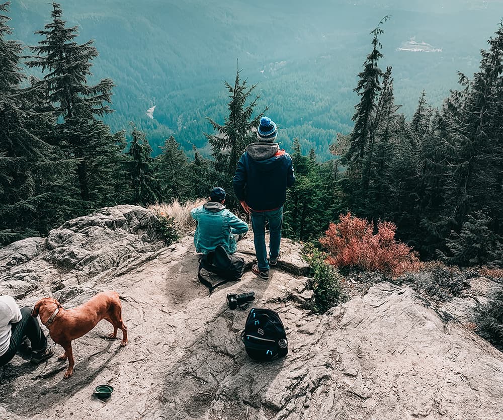 people in a rocky mountain top with their dog